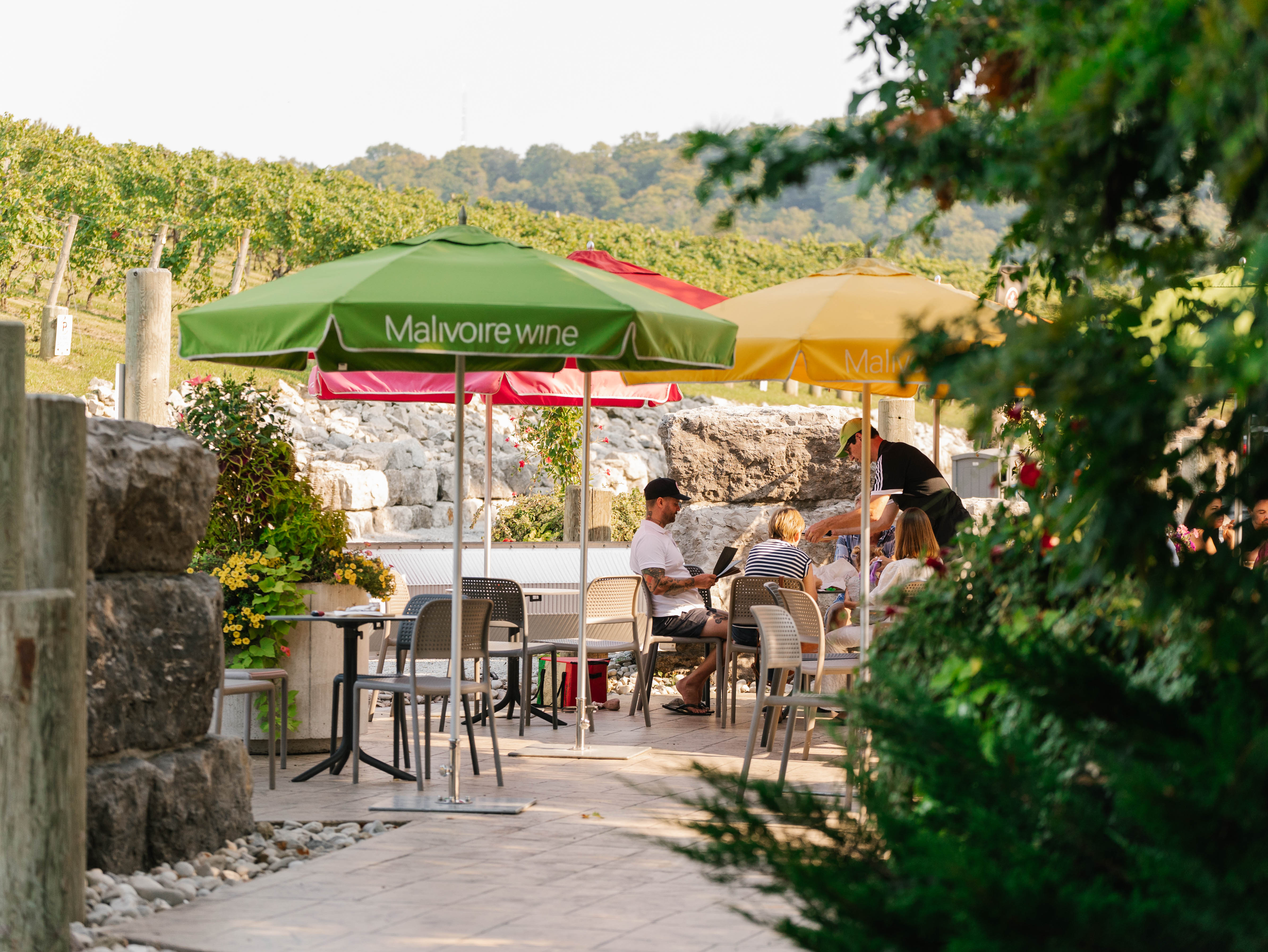 Malivoire Wine Company