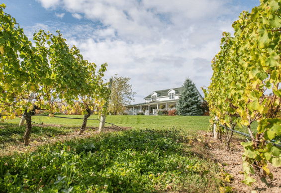 Featherstone Estate Winery