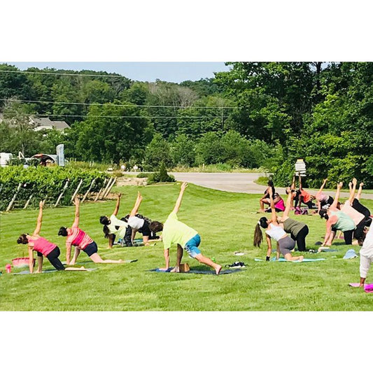 September at Niagara Benchlands Wineries